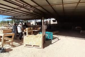 Aserradero Walmar SAS