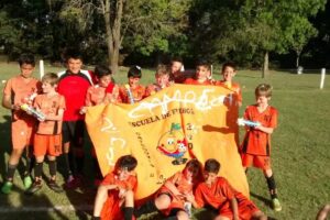 Aserradero y Carpintería Holinger