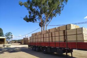 Aserradero y fábrica de machimbres Colombo Hnos.