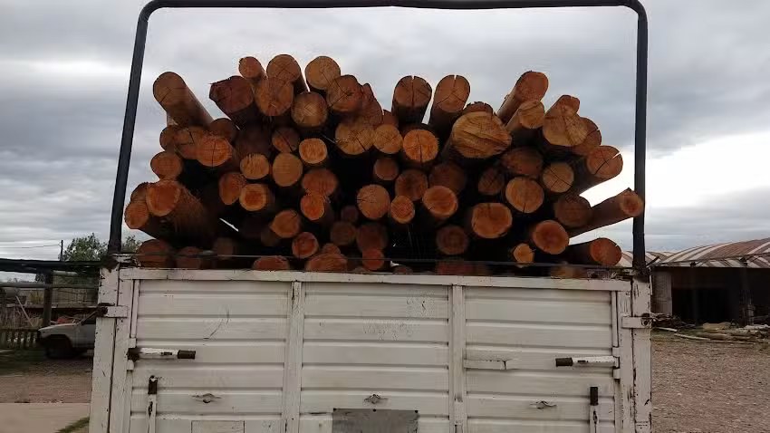 Aserradero y servicios SRL