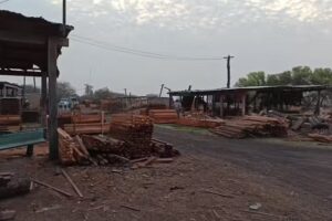 Avelino Gaspar Maderas