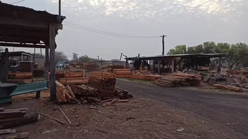 Avelino Gaspar Maderas