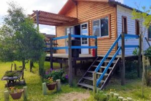 CABA&Ntilde;AS GAMARU