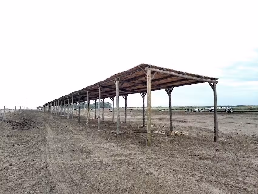 Campra Maderas SRL Quinchos de Paja