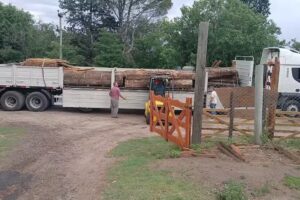 Carpinteria Madera Sol Naciente