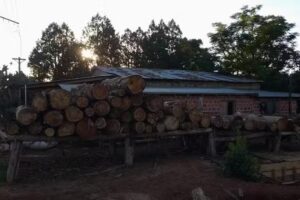 Carpinter&iacute;a y Aserradero San Jos&eacute;