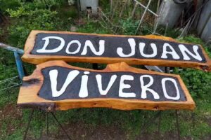 Carteles de Madera Tallados