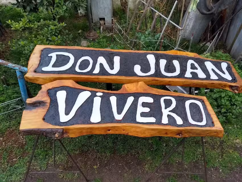 Carteles de Madera Tallados