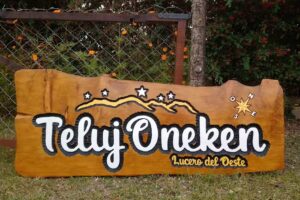 Carteles Tallados en Madera