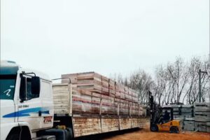 Castelluccio Sanitarios
