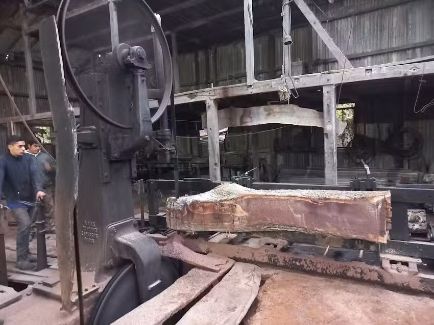 CH aserradero Hauret