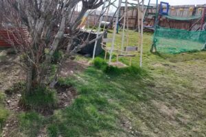 Chacra corazón de madera