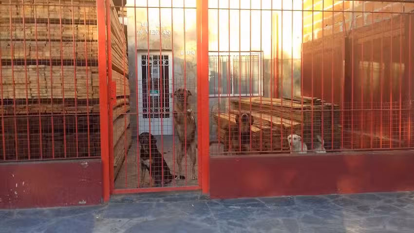 Chapas y Maderas 7 y 83