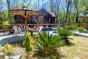 &ldquo;El Algarrobo del Indio caba&ntilde;as & Spa&rdquo;