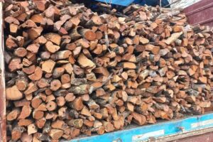 El Guayac&aacute;n &ndash; Carb&oacute;n y Le&ntilde;a