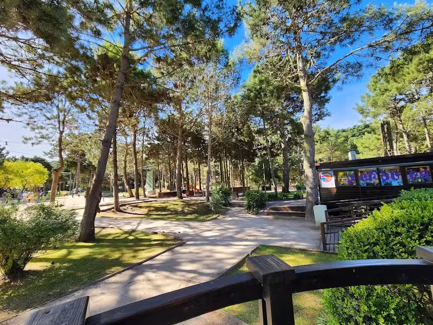 En madera mar de las pampas