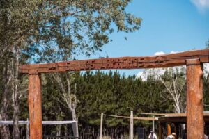 Estancia Los Lapachos