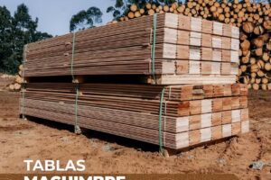 EUCA-O S.R.L. Aserradero