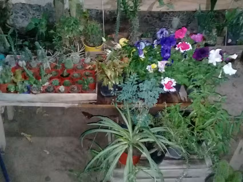 Fabrica Mu&ntilde;oz Muzo