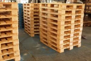 Fenix Servicios Generales SRL