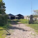 Fenolicos y terciados