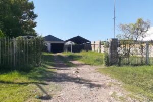 Fenolicos y terciados