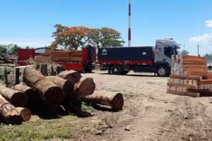 forestal cerros azules