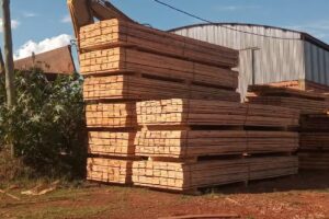 Forestal Don Guillermo Silke