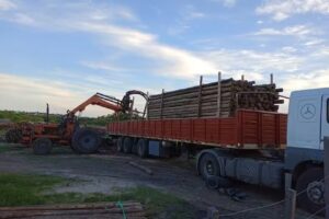 Forestal El Lago &ndash; Impregnaci&oacute;n Industrial