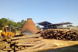 Forestal Eldorado SRL