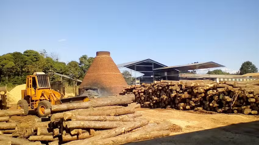 Forestal Eldorado SRL