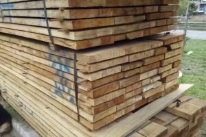 FORESTAL MAC MISIONES