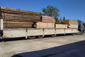 Forestal Norte Rio Negro