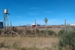 Forestal R&iacute;o Salado S.A