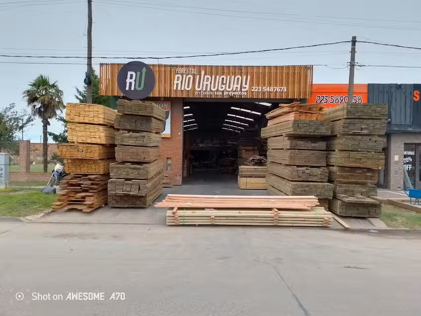 Forestal r&iacute;o Uruguay