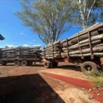 Forestal Sin Fronteras