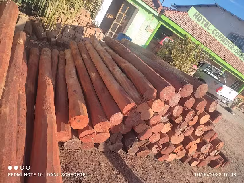 Forestales D&D SCHECHTEL