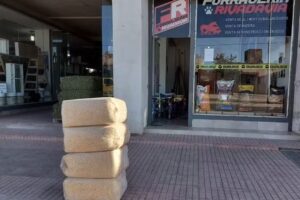 Forrajeria y Maderas Rivadavia