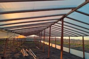 Gerardo Zitti Maderera