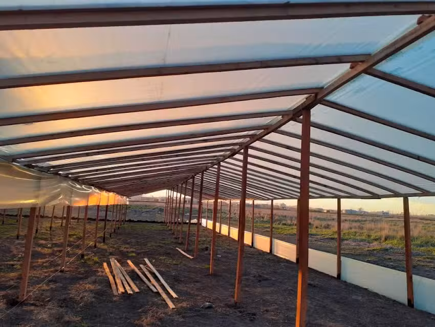 Gerardo Zitti Maderera