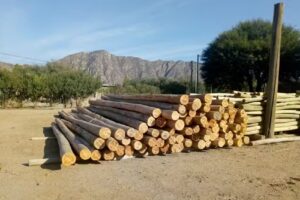 Impregnadora Anguinan