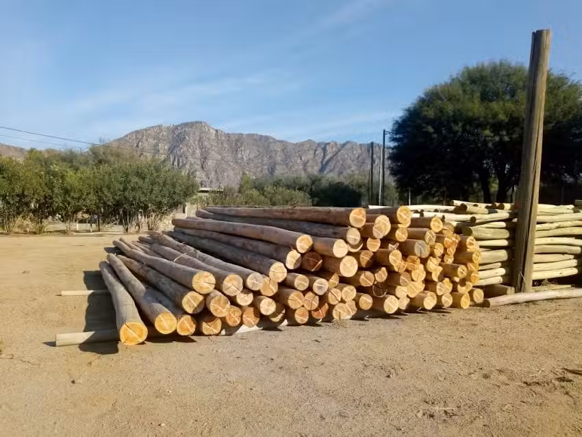 Impregnadora Anguinan