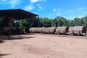 Impregnadora Cerro Moreno