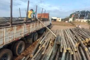 Impregnadora y Maderera La Criolla SA