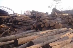 Industria Maderera Fernandez