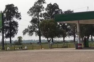 Jose R. Segura Maderas