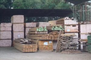 La Foresta Maderas Pueblo Nuevo