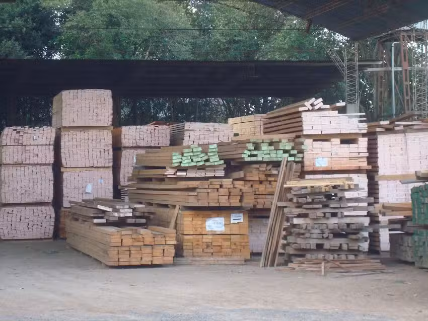 La Foresta Maderas Pueblo Nuevo