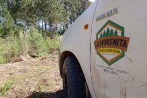 La Morenita Aserradero y Servicios Forestales