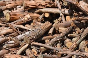 Le&ntilde;a Necochea